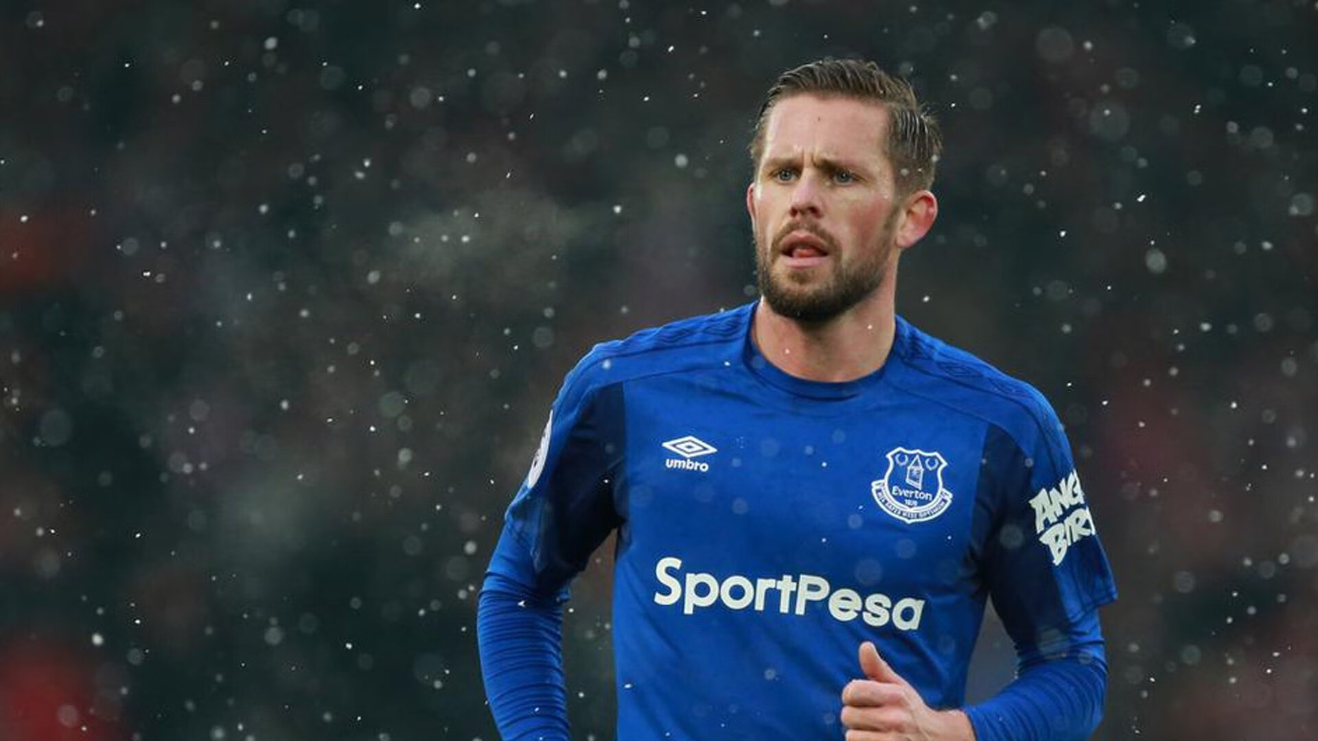 德甲激烈争夺，球迷留言支持，德甲 球迷